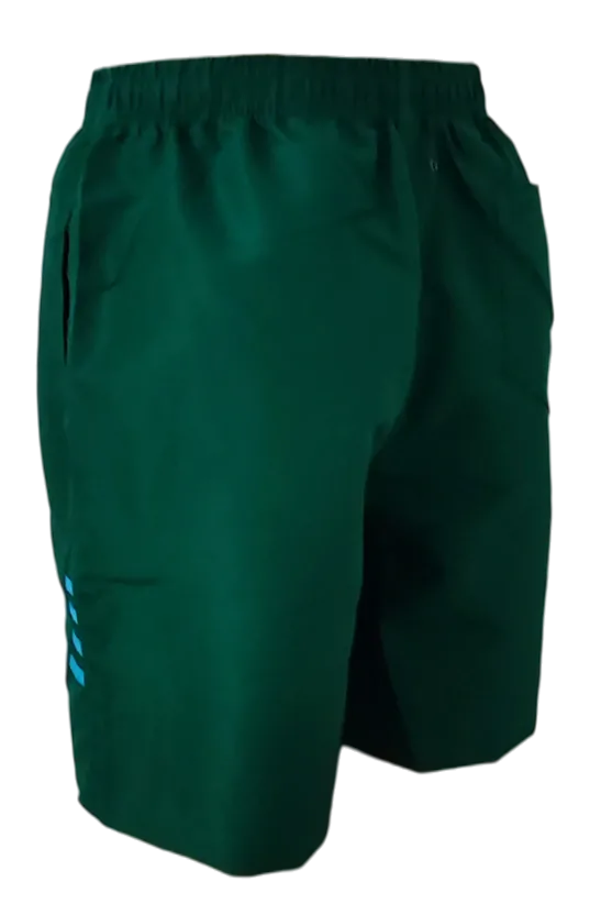 Pánské plavecké šortky FANNIFEN